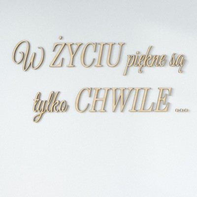 Napisy na ścianę W życiu piękne są tylko chwile