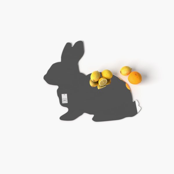 Lustro akrylowe Zając dekoracyjne lustro na ścianę