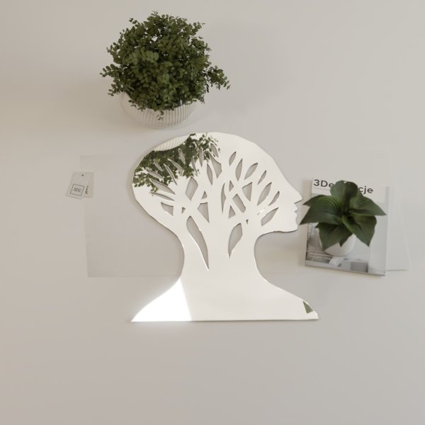 Lustro akrylowe głowa Lustro akrylowe głowa dekoracyjne lustro na ścianę